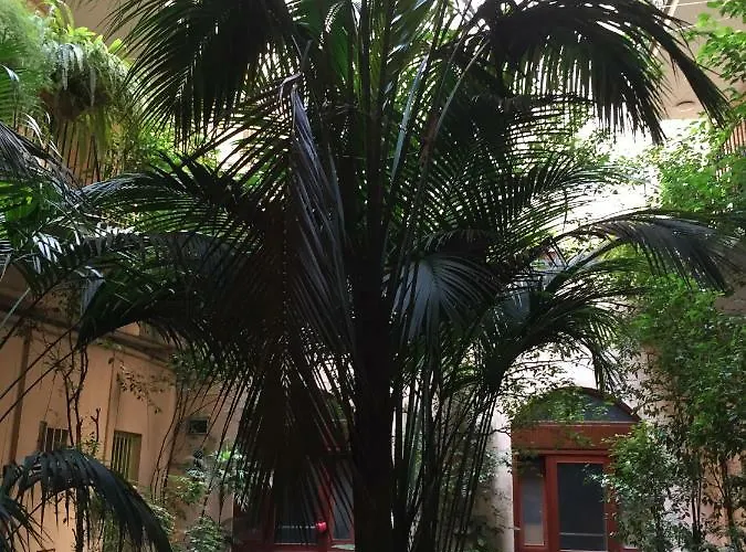 Klee House Trastevere *